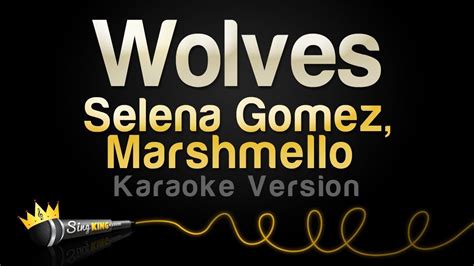 wolves selena gomez karaoke
